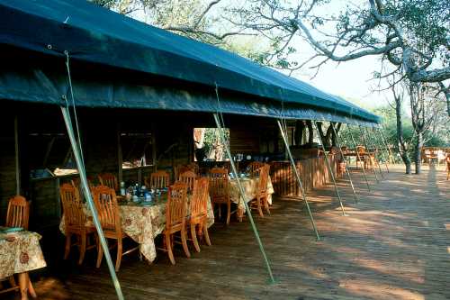 karongwe Bush Bush03